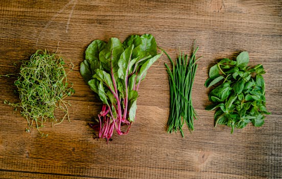 colorful seasonal salad