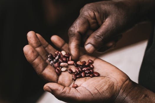 variety of legumes