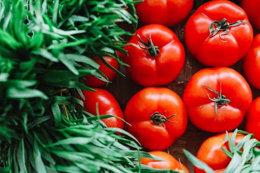 fresh ingredients for plant-based cooking