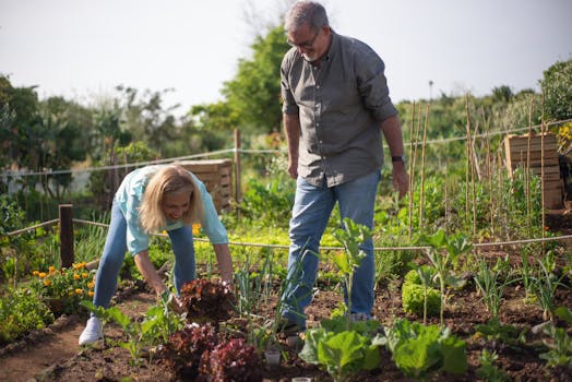 community garden