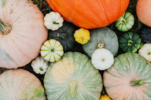 a variety of fresh vegetables