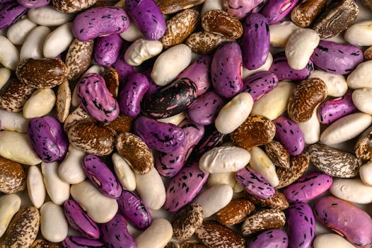 a variety of beans and legumes