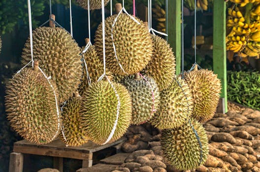 Fresh produce at a local market